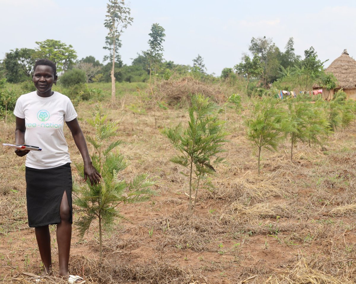 Tree-Nation tweet media