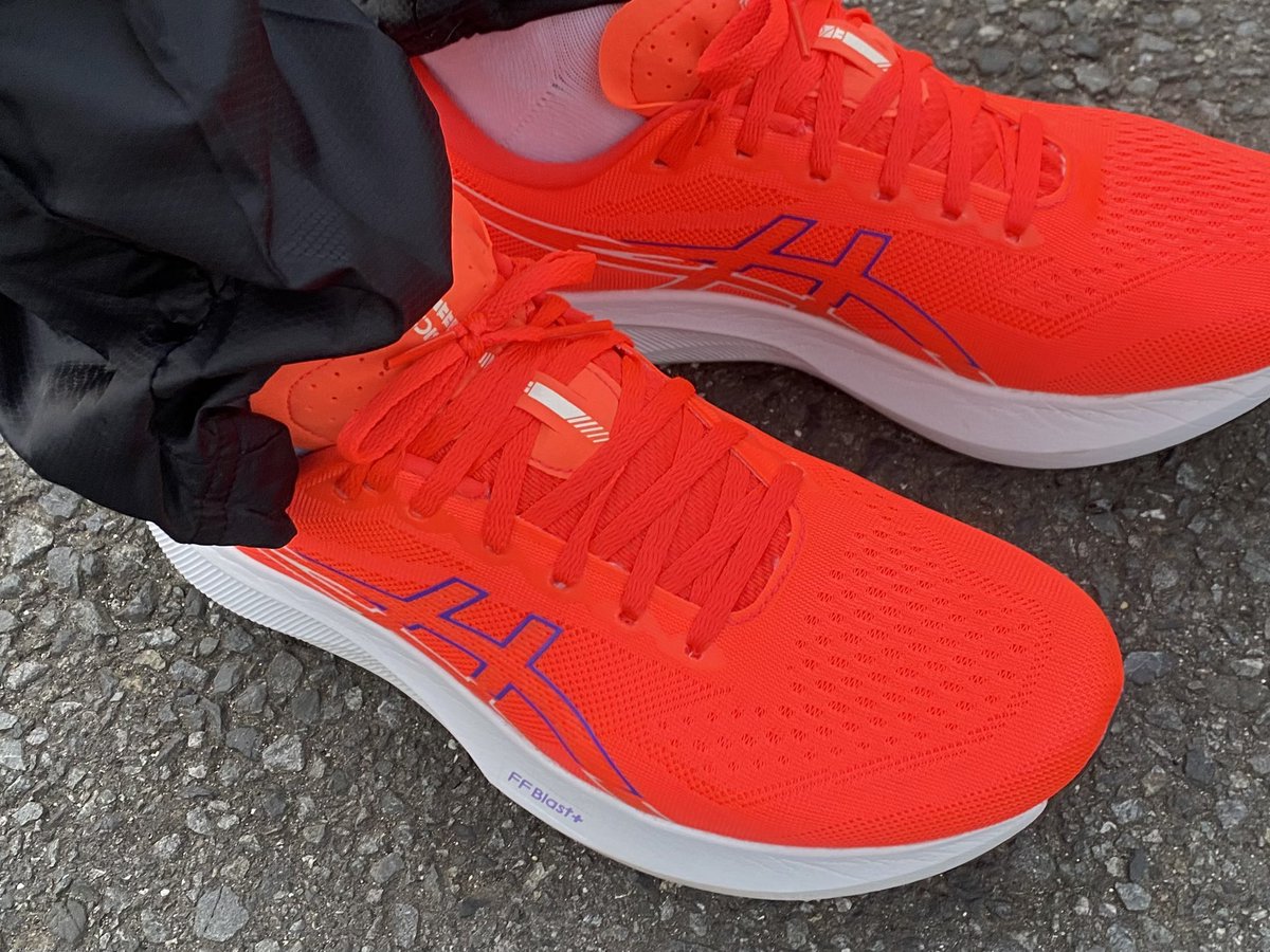 And Hibari-kun tweet media