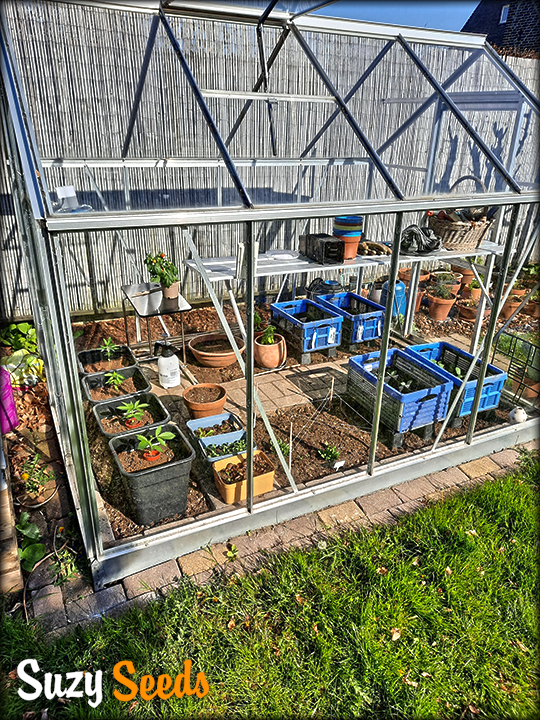 SuzySeeds tweet media