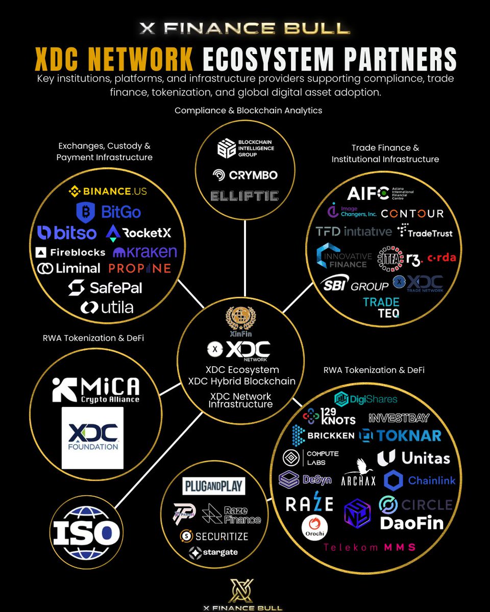 X Finance Bull tweet media