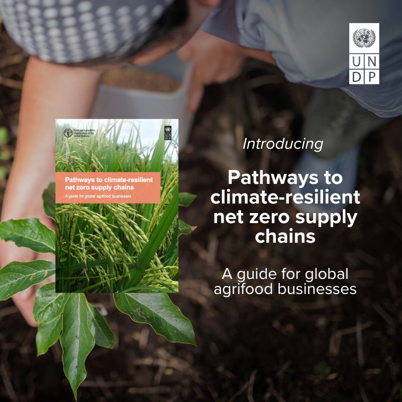 UNDP Planet tweet media