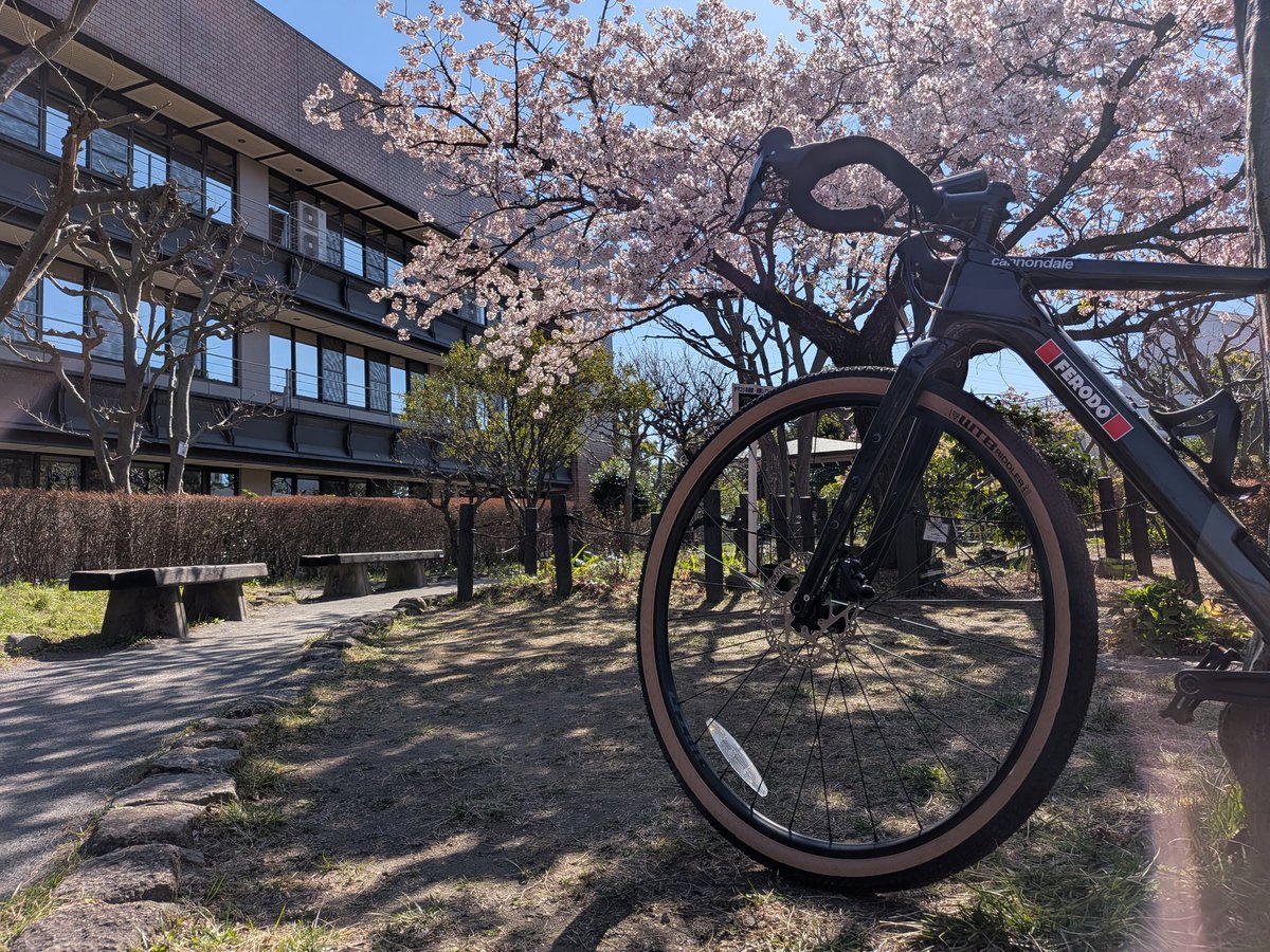 shibaliningjp's tweet photo. FERODOのロードレース用ブレーキパッドとローターを入荷しました。
モニター利用いただき製品の可能性模索したいと思います。
気になる方はぜひチェックお願いします！
#FERODO
#ロードレース 
#ロードバイク
#canondale https://t.co/1Ga7G8XIjt