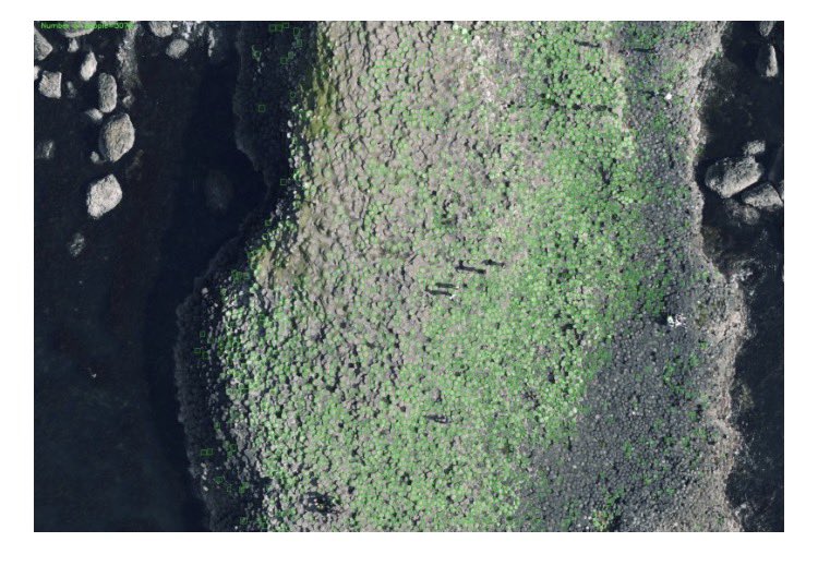 JPCampbellBiz tweet media