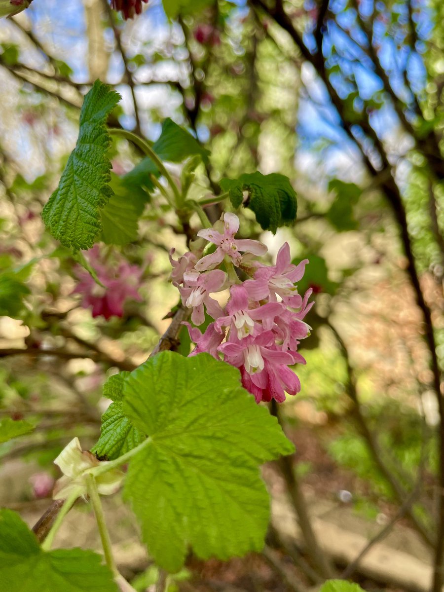 Stifyn Parri 🌈 tweet media