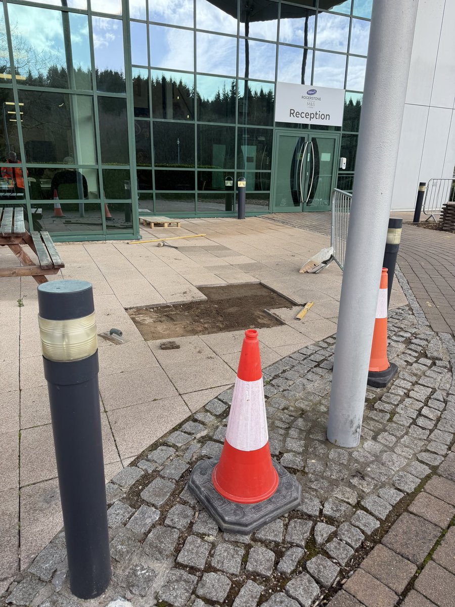 Noel Fitzpatrick Ltd tweet media