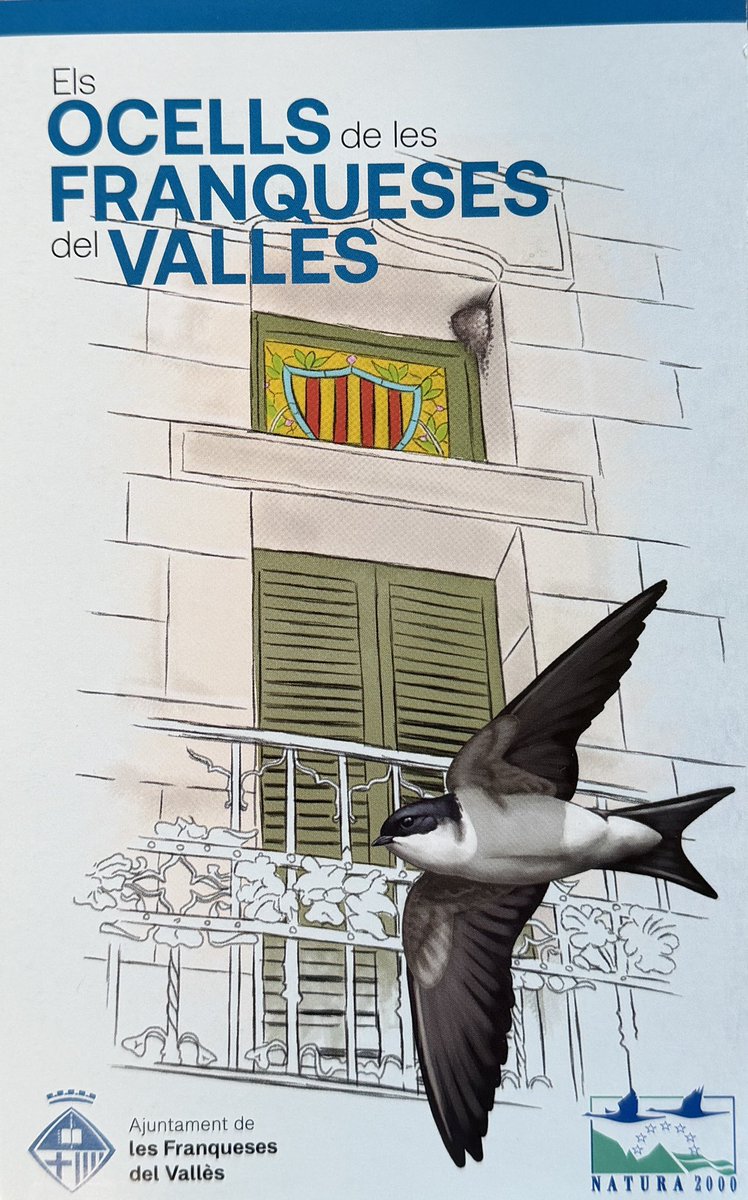 Birding Catalunya tweet media