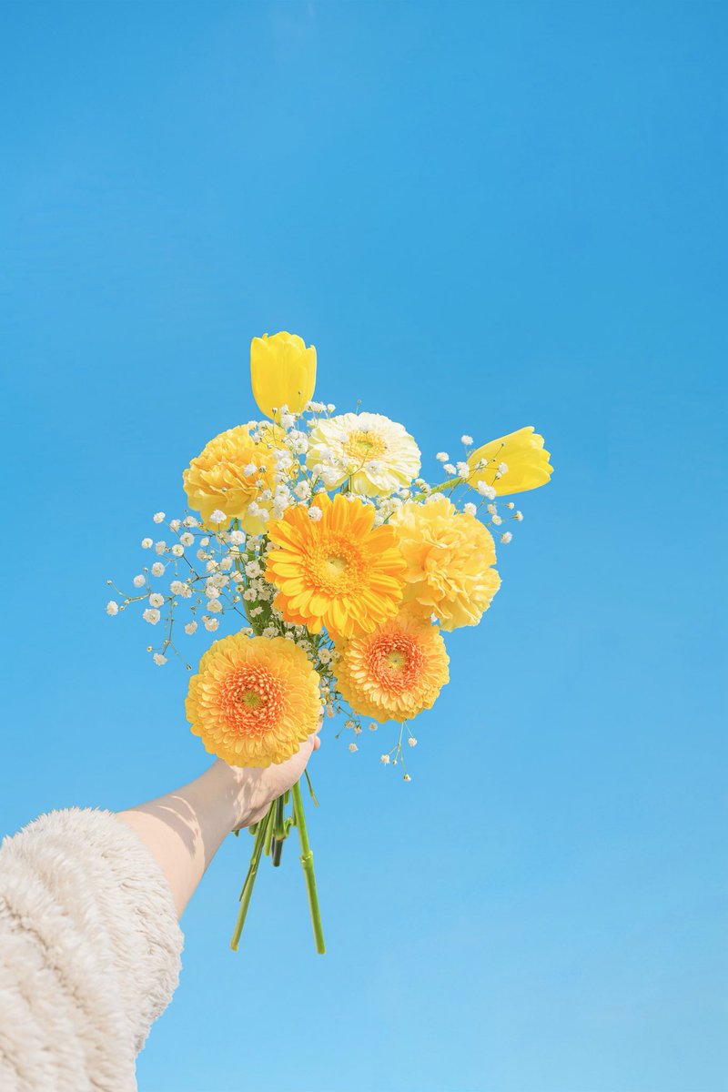 ノア | 𝘕𝘰𝘢𝘩 tweet media