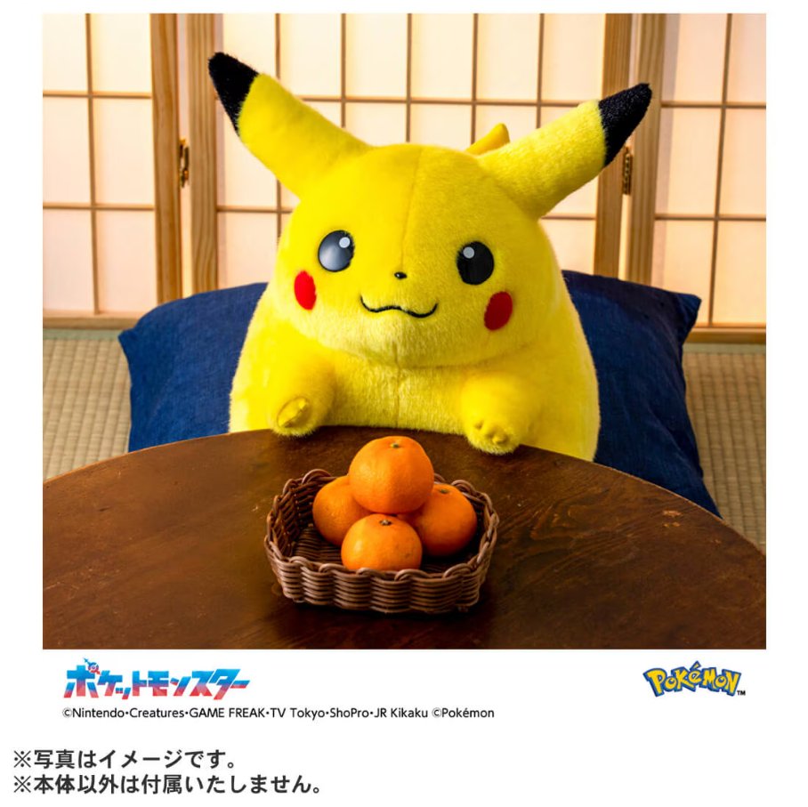 ポケモン抽選販売】 タカラトミーモールで「ポケモン30周年記念