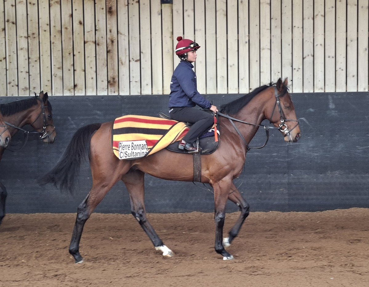 Irishracing.com Live tweet media