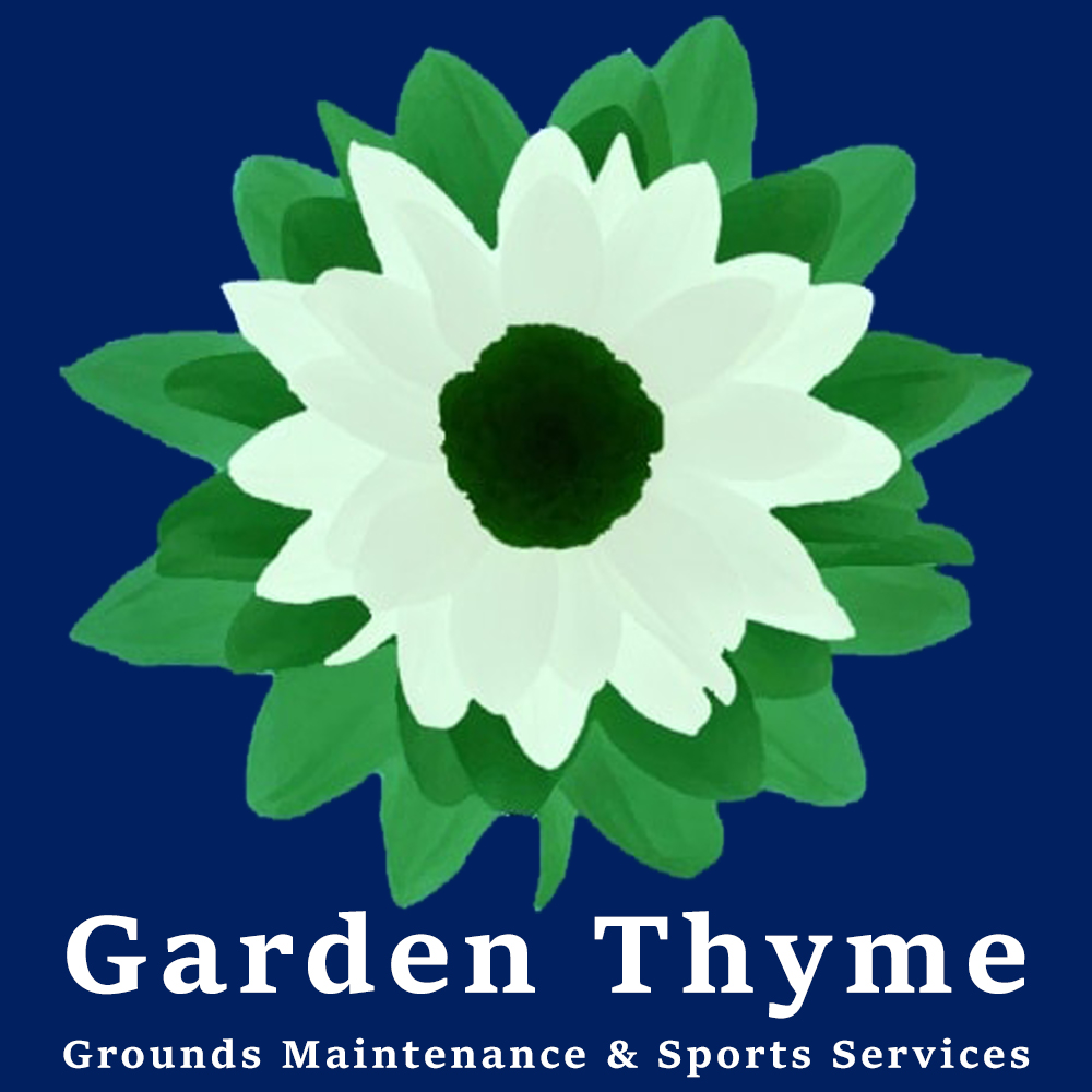 Reading YMCA FC tweet media