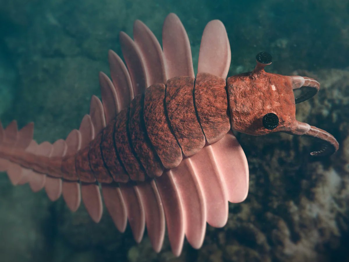 Deepz Pidz tweet media