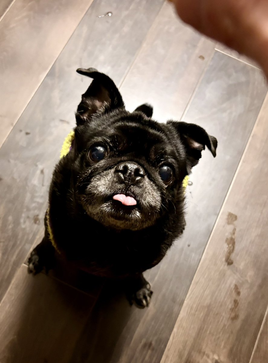 ツナ缶 tweet media