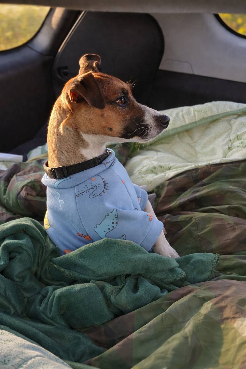 HanumanGames tweet media