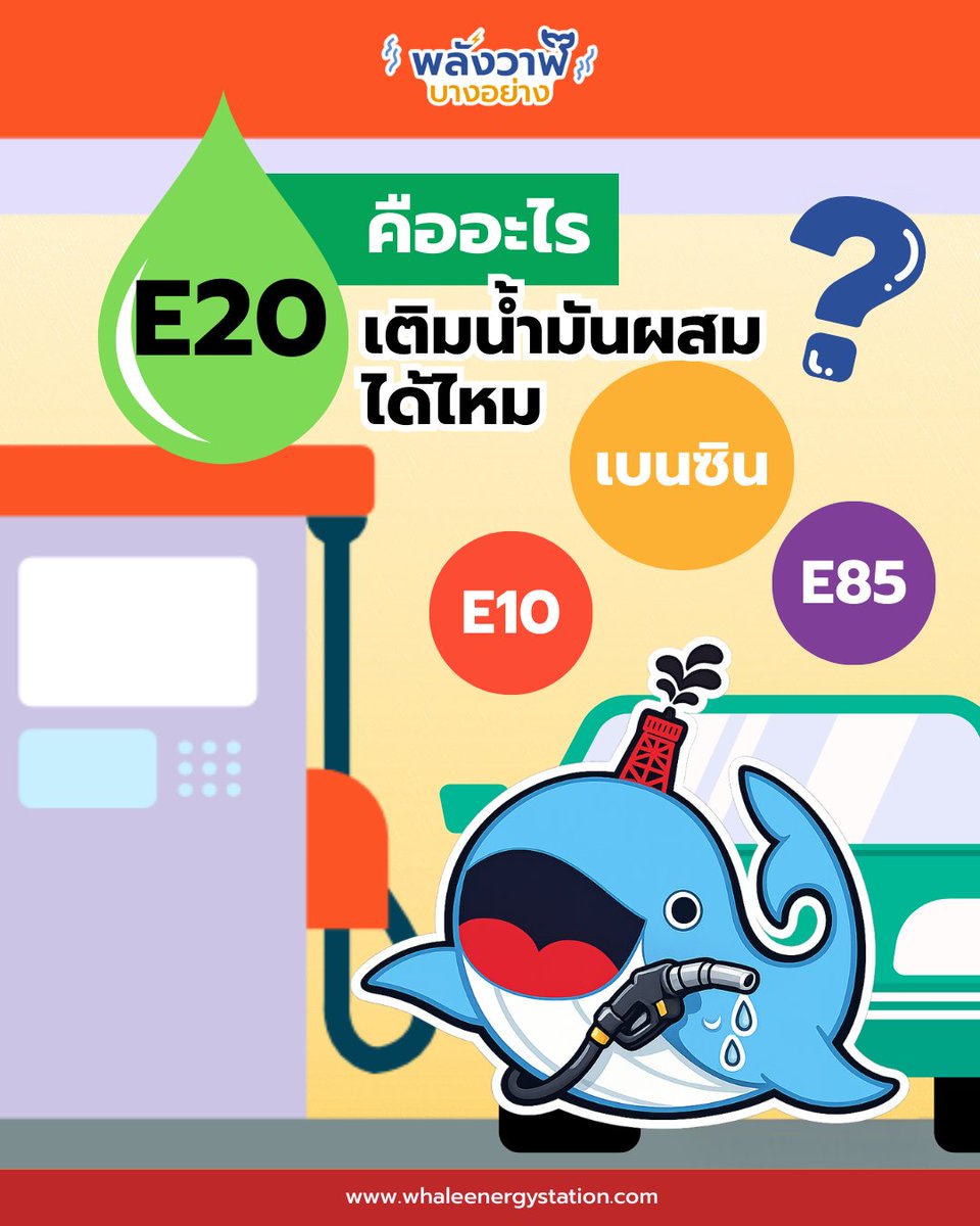 พลังวาฬบางอย่าง tweet media