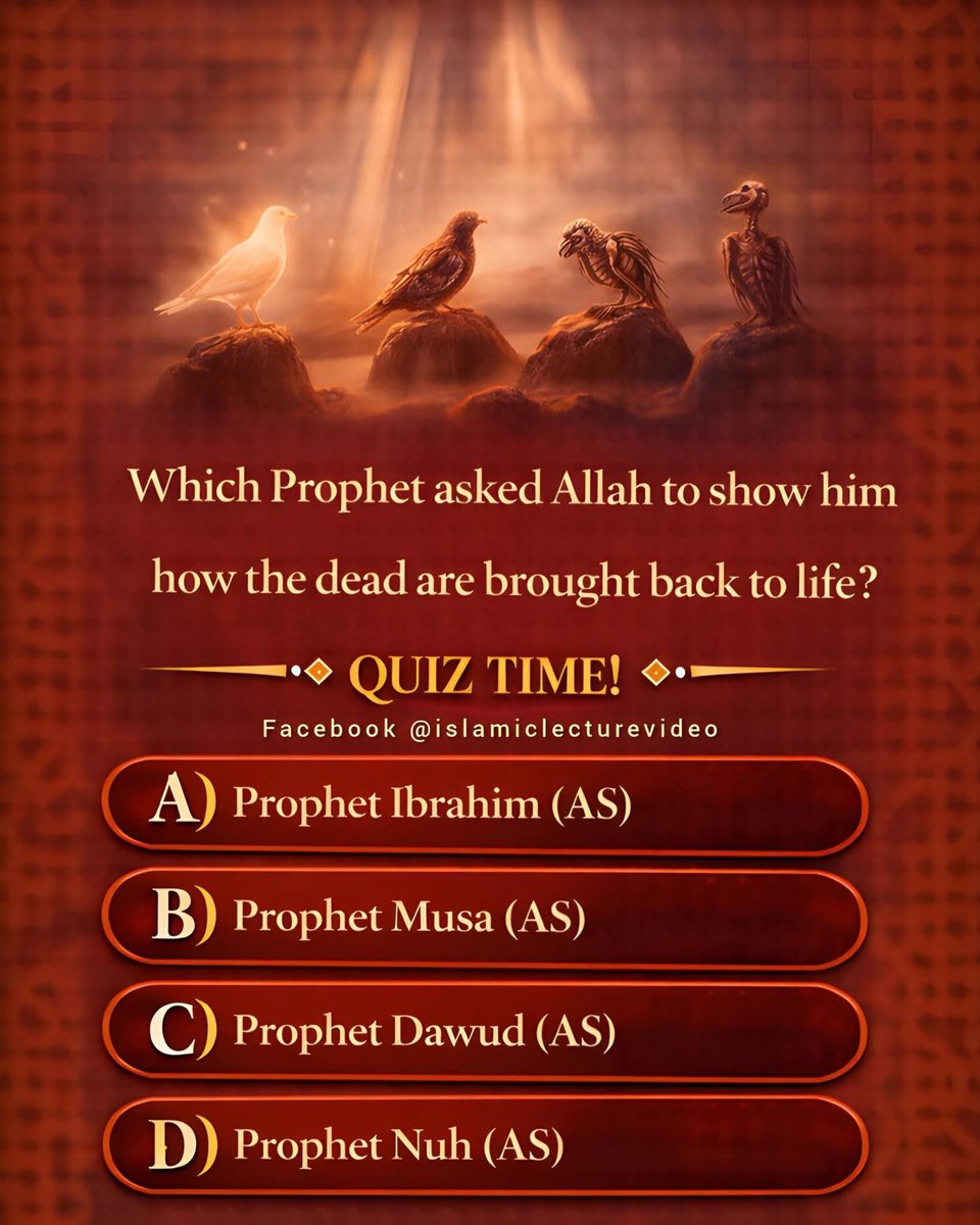 Haleema Abubakar🌹 tweet media