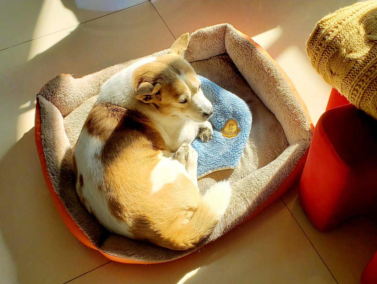 Шубитидзе Геннадий tweet media