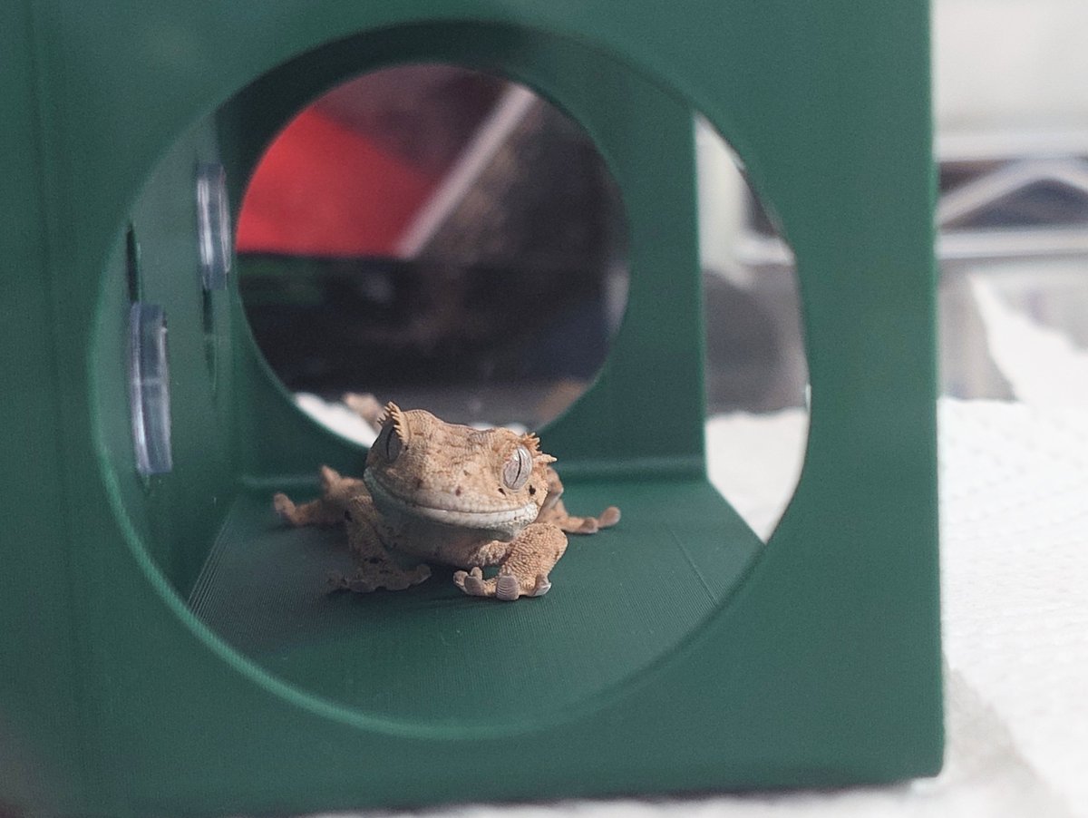 くろだ tweet media