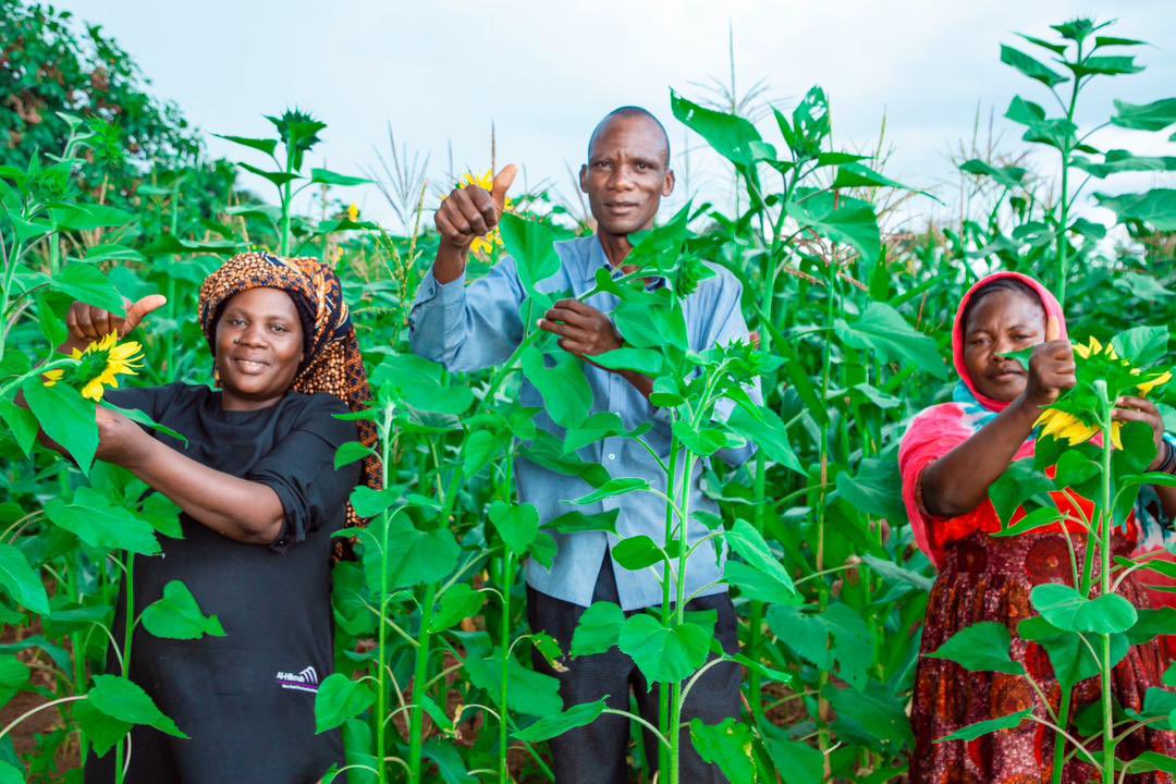 Wizara ya Kilimo tweet media