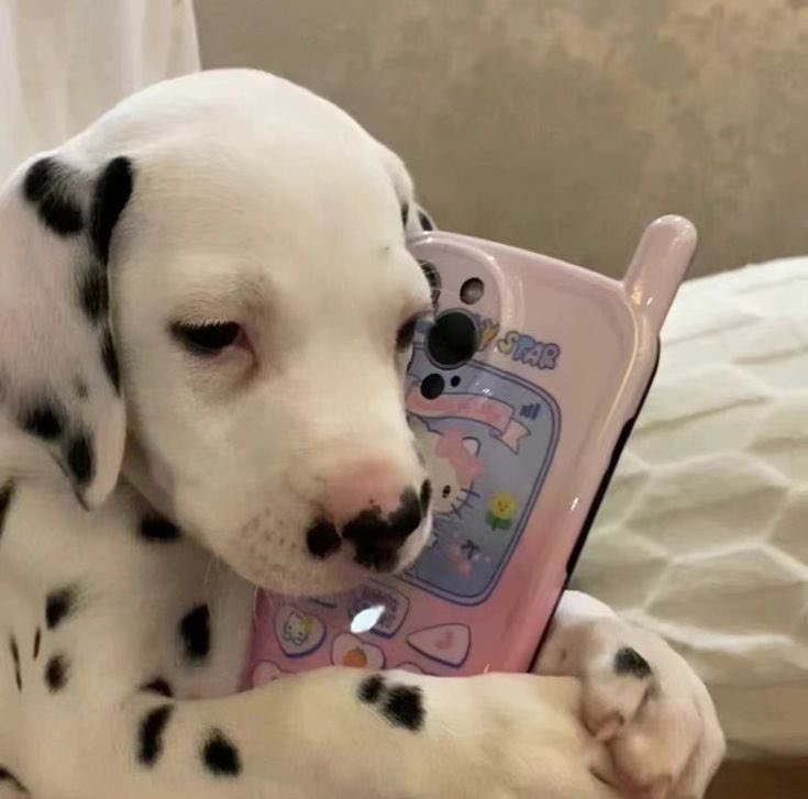 staerrafic's tweet image. can a kind army explain to me how to connect ur apple music to your last fm? i tried pano scrobbler but it’s not working TT #bcd #helpme