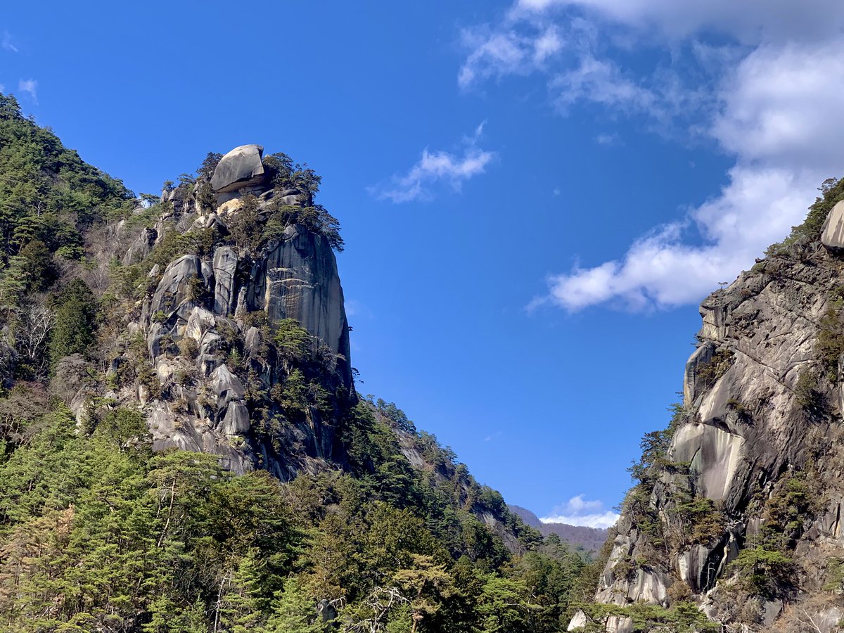 Allein Adler（アライン アドラー） tweet media