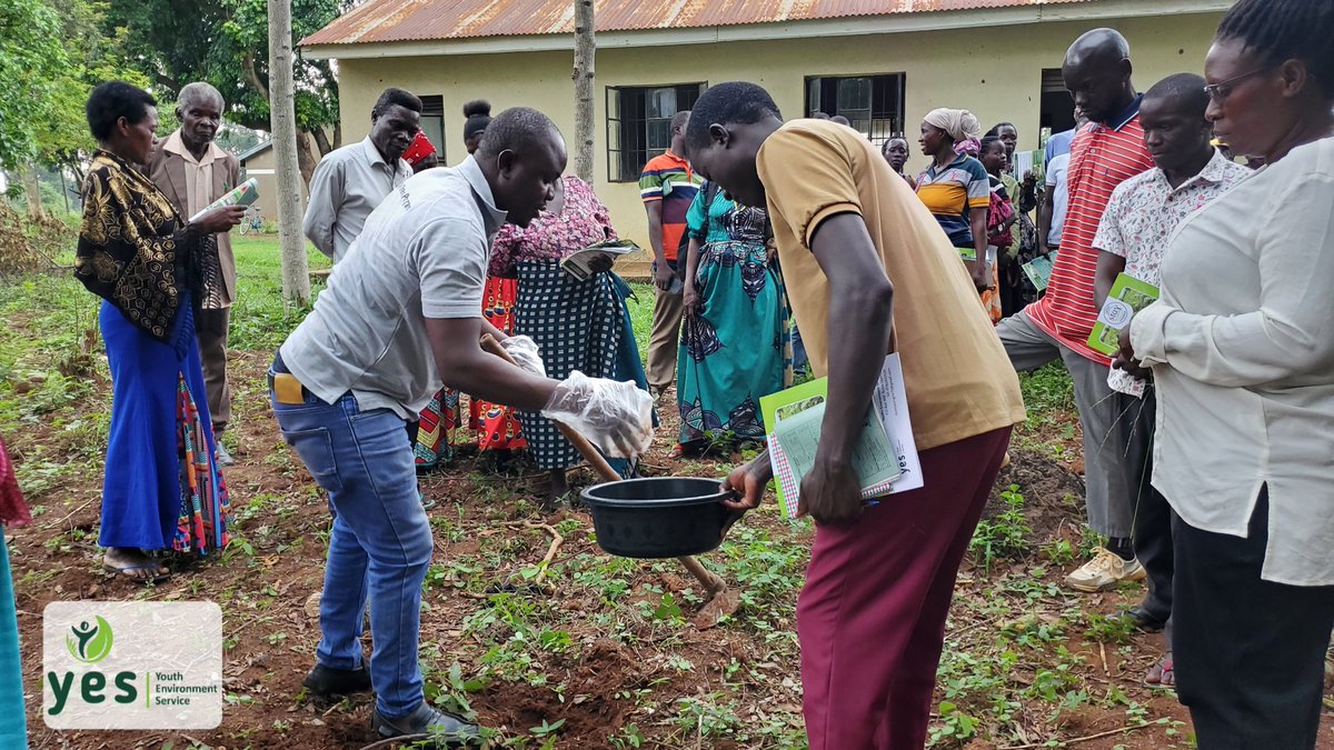 YesBusia tweet media