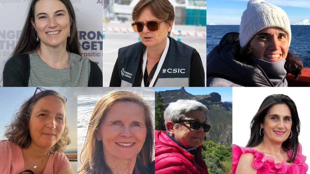 Biological Oceanography Group tweet media