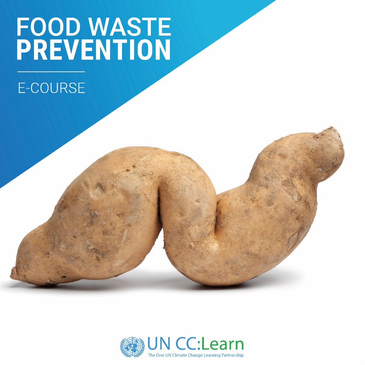 UN Climate Change:Learn tweet media