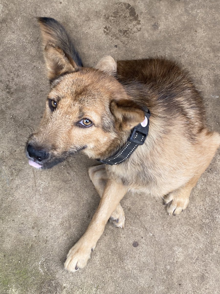 Met mudikkk stay safe