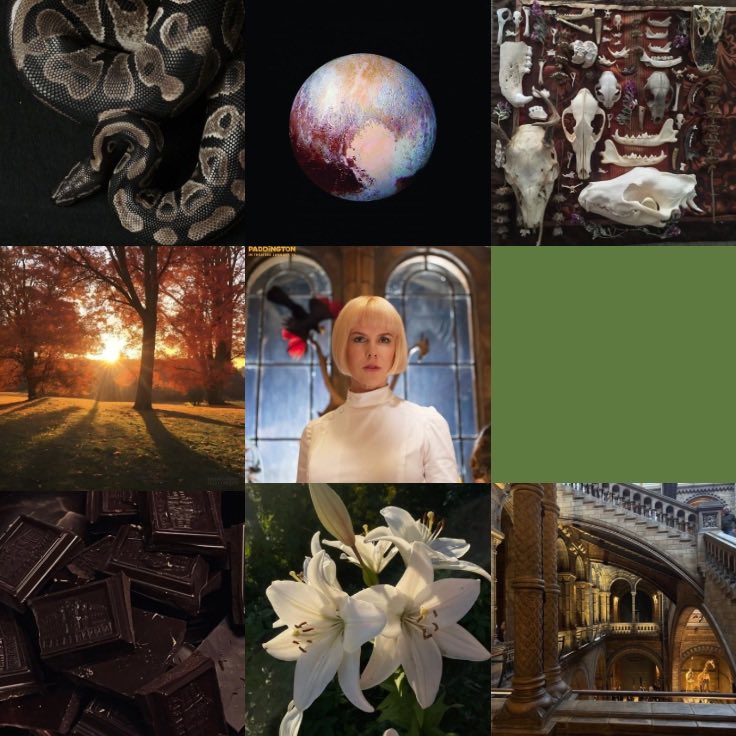 Rey・❥・Millicent Clyde’s Bunny 🐍🐇 tweet media