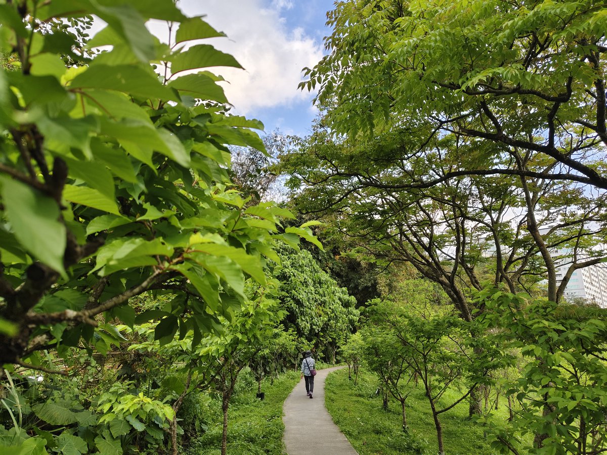 鬱兔⭐職業作家Vtype tweet media