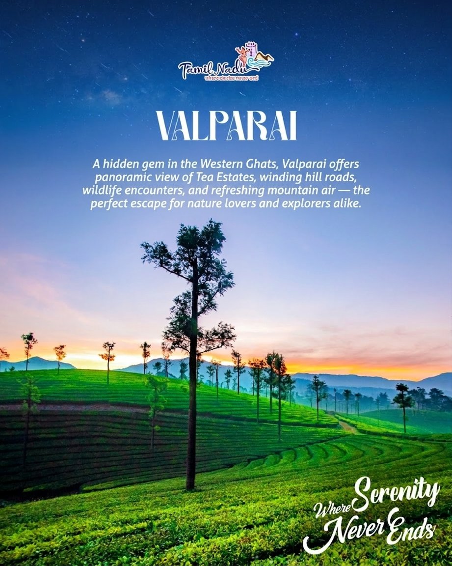 India in Indonesia tweet media