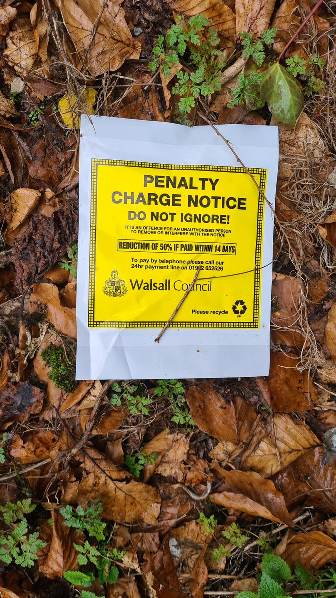 Mike The Litterpicker tweet media