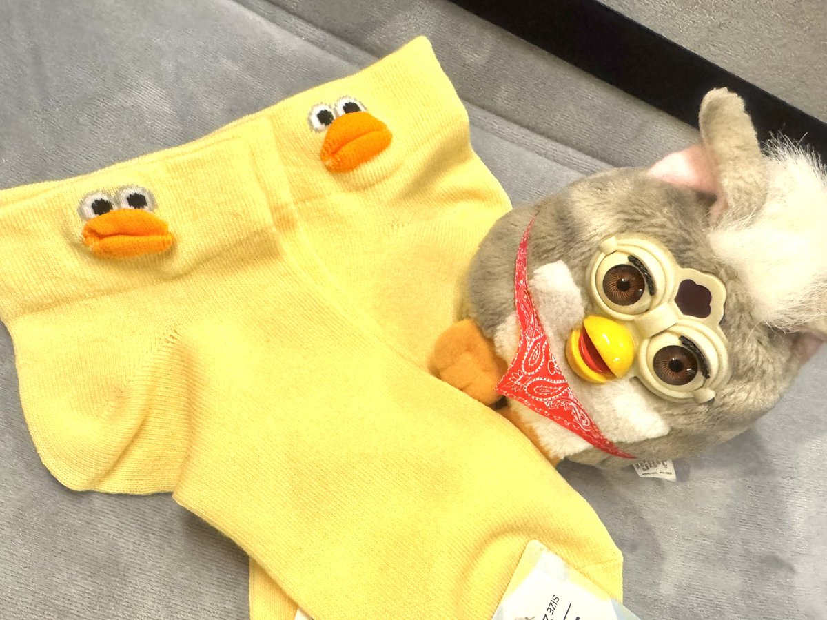 百均で一目惚れして買ってしまった靴下🧦✨
可愛い🥰