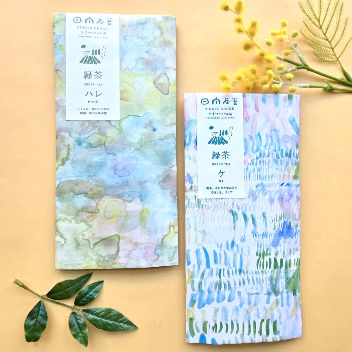 SAGA MADO_official tweet media