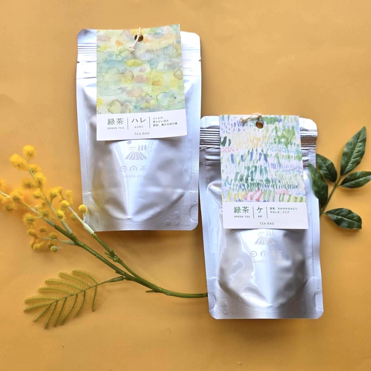 SAGA MADO_official tweet media