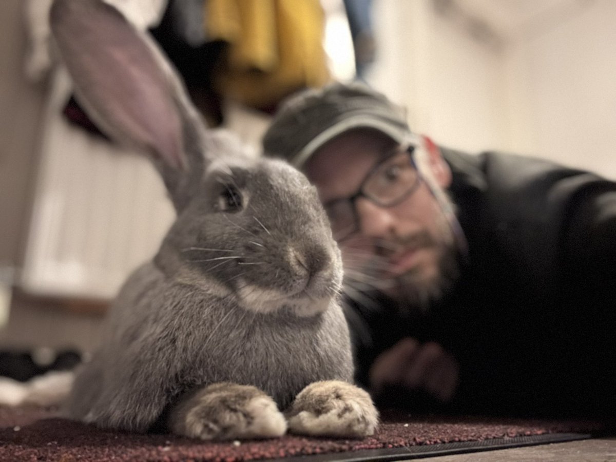 Good morning!!! 
Please give Dwayne a share!  He’s just a baby and we want bunnies to stay on people’s feed! Sharing is the best way to do that ❤️