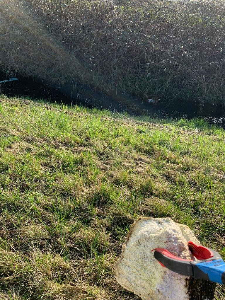 fred steenbergen fredsteenbergen.bsky.social tweet media