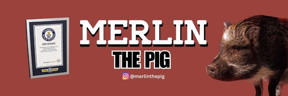 @allodev @Jeremybtc Check out $merlin @allodev ...