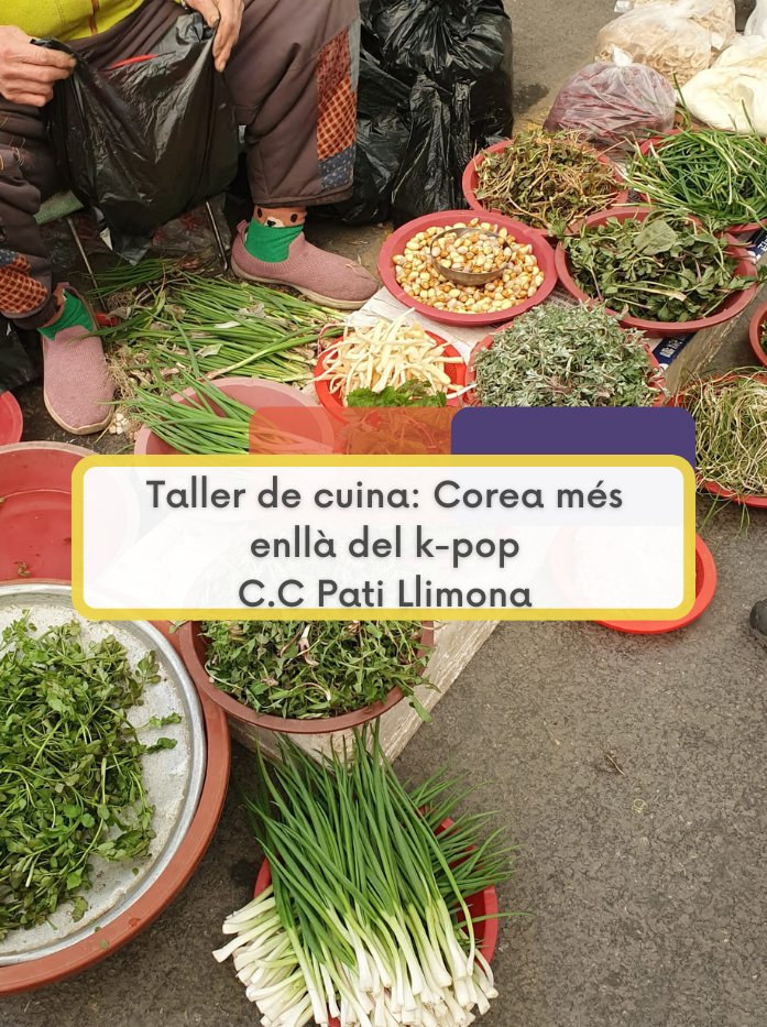 Korea en Barcelona tweet media