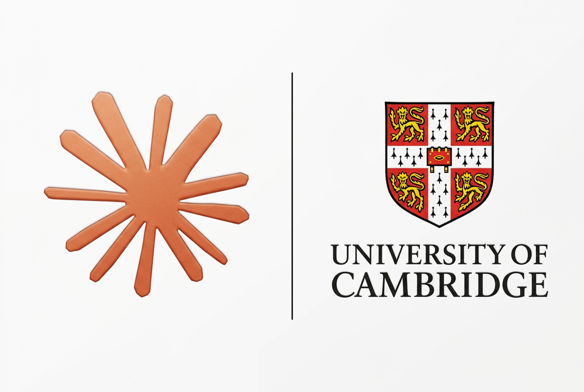 Abdul Șhakoor tweet media