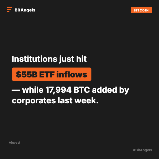 BitAngels tweet media