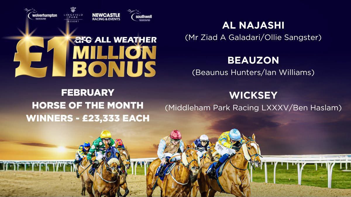 Tim PALIN tweet media