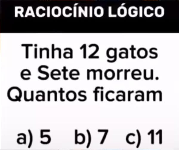 @pontinisandra McCartney tweet media