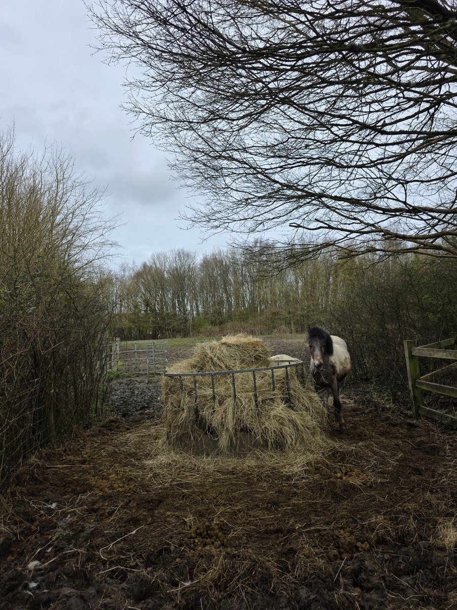 Nick Alexander tweet media