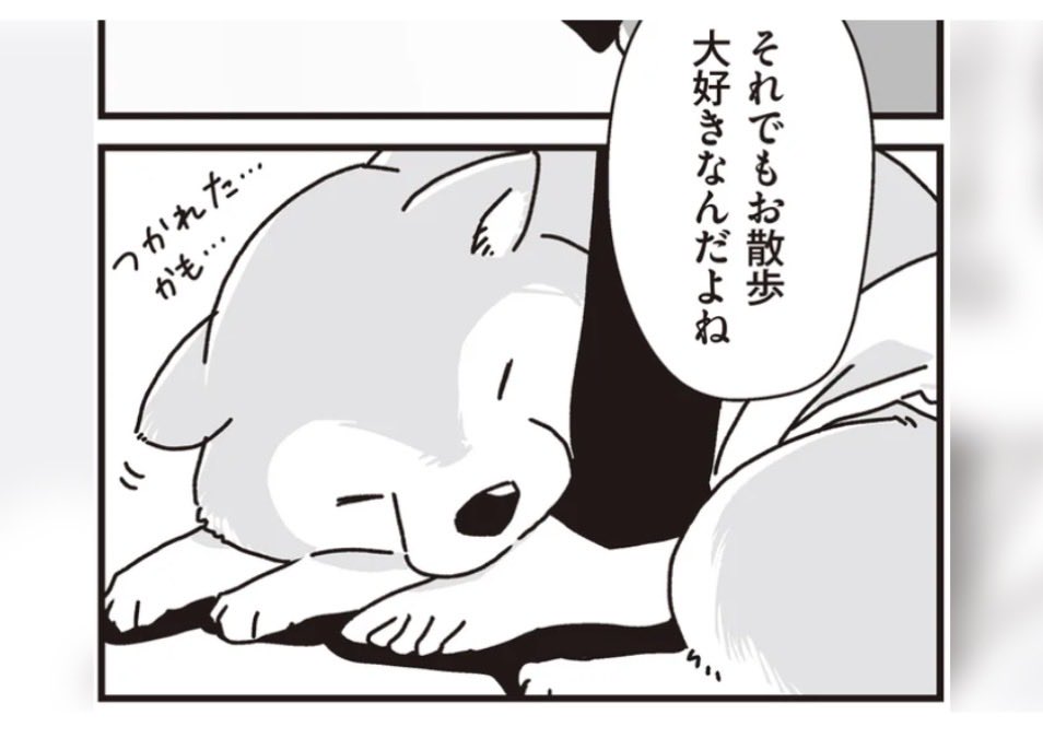 KADOKAWAさんの生活メディア「レタスクラブWEB」で、
『何度でも言うね、大好きだよ』の試し読みを掲載していただいております。
シニア犬との日々を描いたエピソードの一部を毎日一話ずつ更新!
ぜひご覧ください✨
https://t.co/ex6eZpwjGH