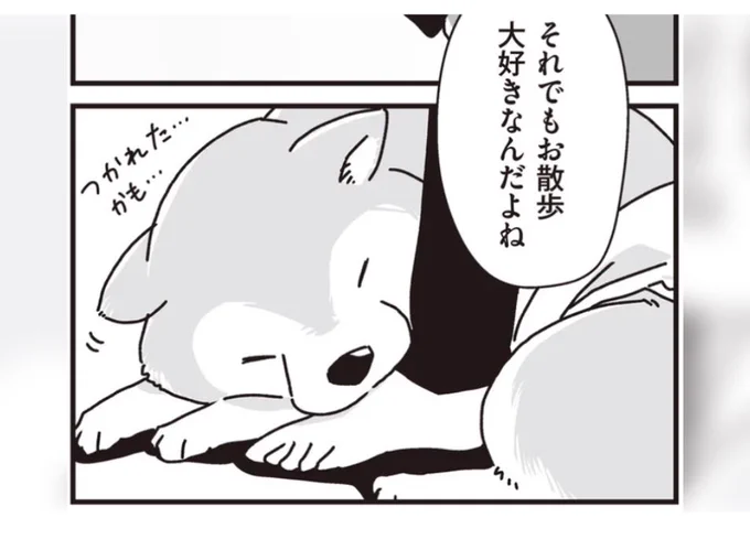 KADOKAWAさんの生活メディア「レタスクラブWEB」で、
『何度でも言うね、大好きだよ』の試し読みを掲載していただいております。

シニア犬との日々を描いたエピソードの一部を毎日一話ずつ更新!

ぜひご覧ください✨

https://t.co/ex6eZpwjGH 