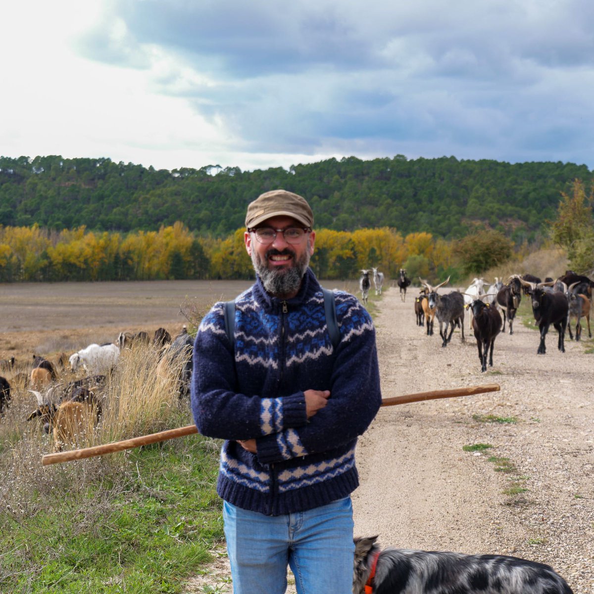 PRODESE Asociación Promoción y Desarrollo Serrano tweet media