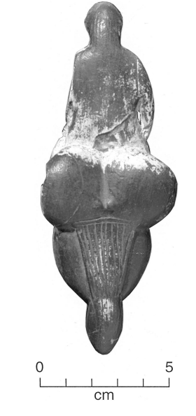 Morphofem 3D tweet media