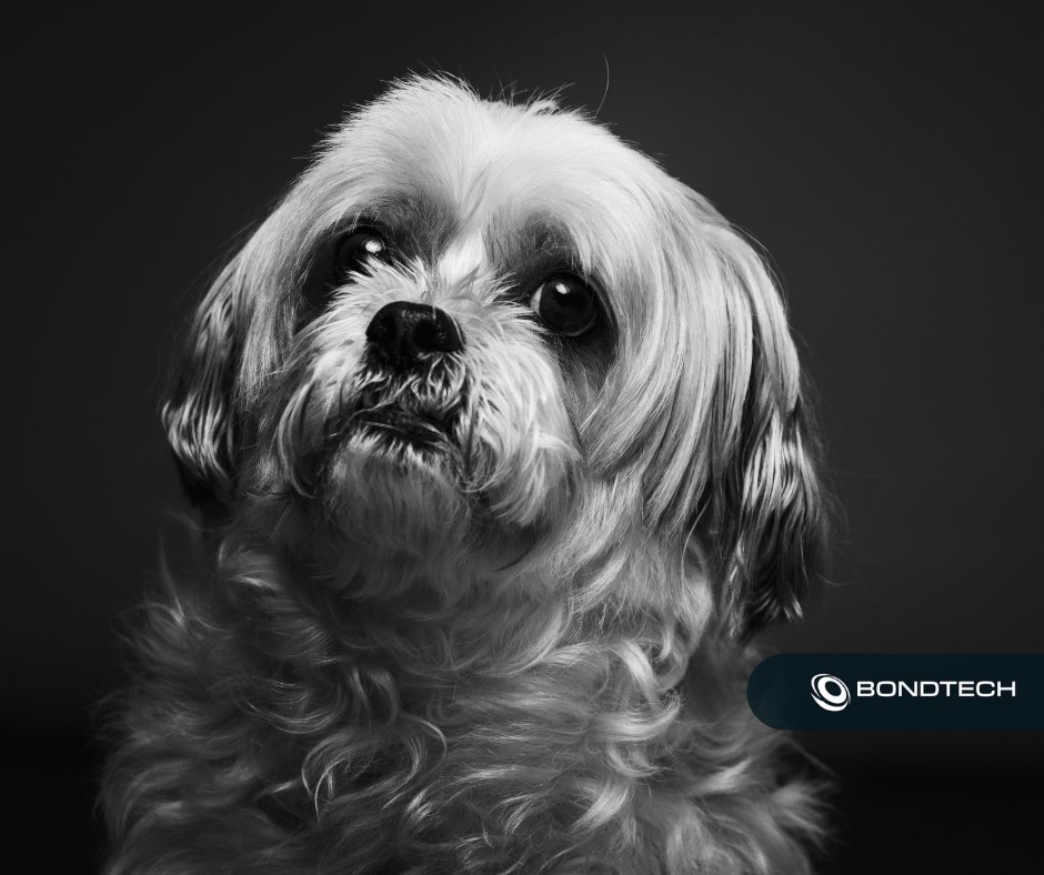 Bondtech tweet media