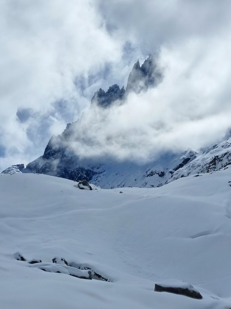 Melaine Le Roy tweet media